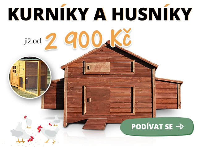 kurniky-husniky.png